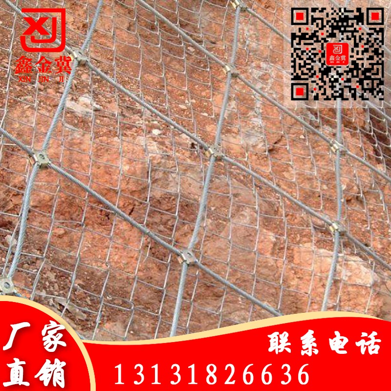 主動(dòng)網(wǎng)、鋼絲繩網(wǎng).jpg
